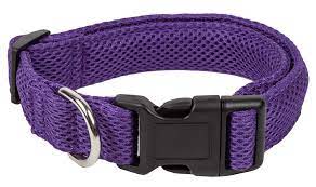 Purple Dog Collar