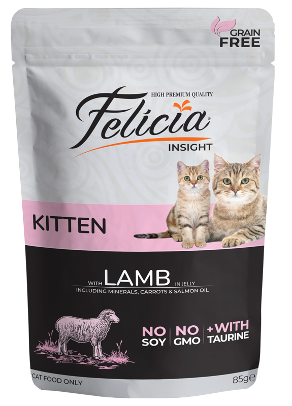 Felicia Kitten Lamb in Jelly