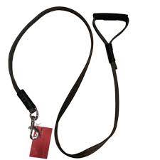 Dog Flat Handle Leash