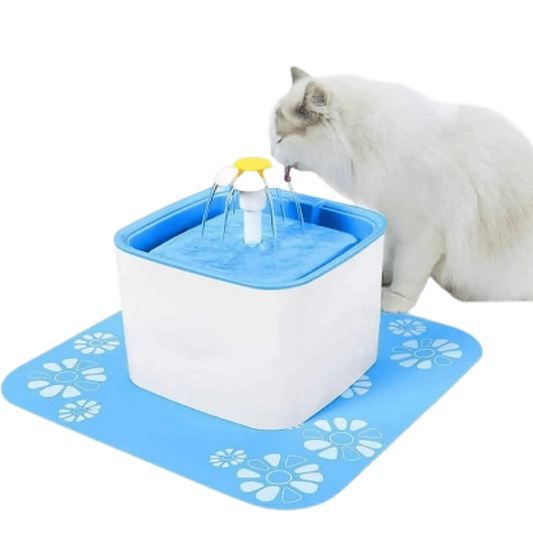 Water Fountain