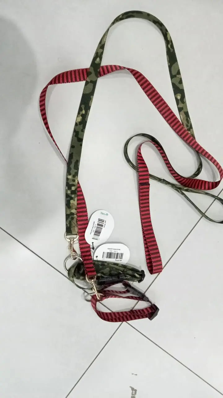Collar + Leash M