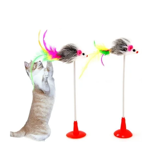 Cat Spring Toy Stuck