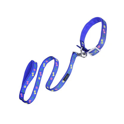 Collar + Leash L
