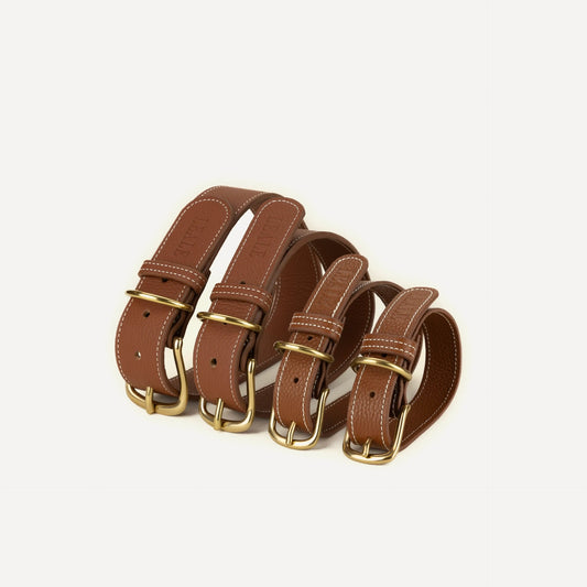 Premium Leather Collar Brown S