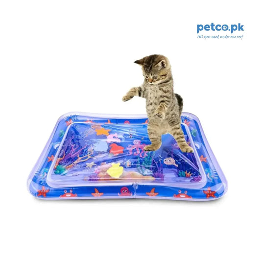 Cat Playing Fish Mat