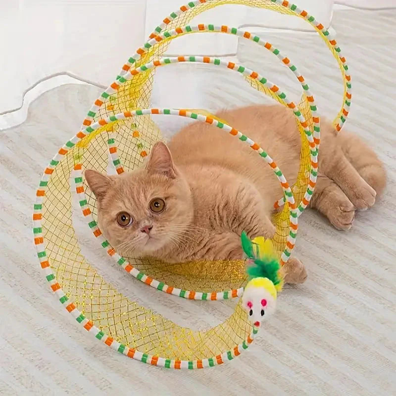 Truck Of Cat Playing Tunnel