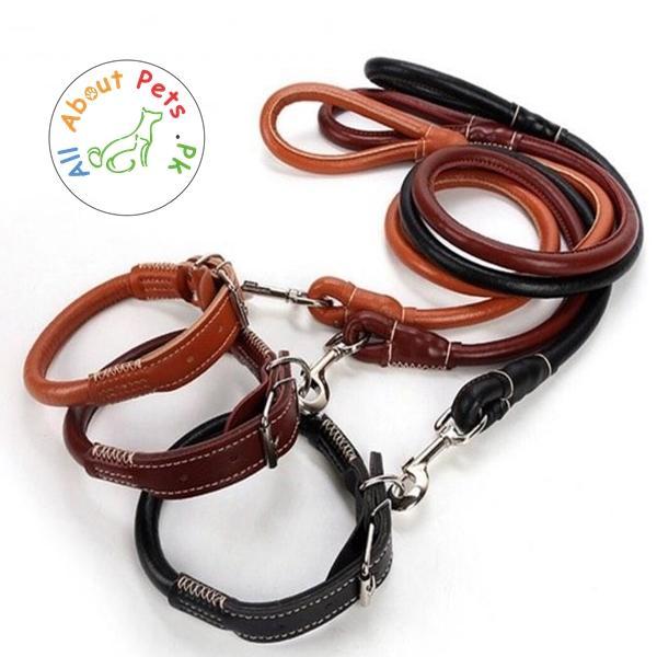 Collar & Leash