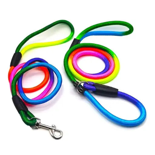 Multicolor Leash L