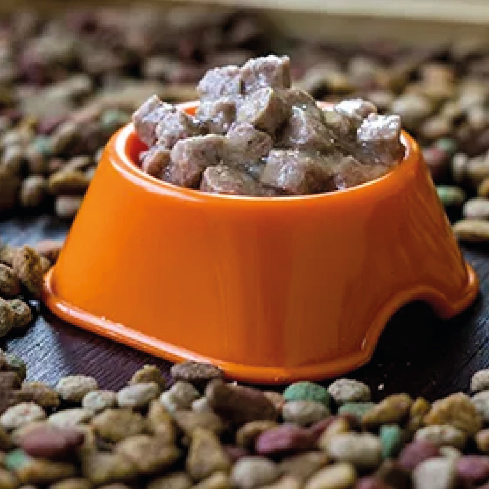 Dog Wet Food and Treats