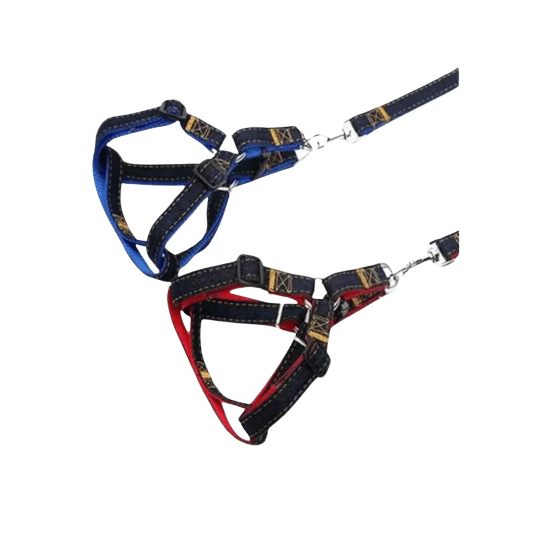 Jeans Harness S