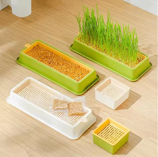 Cat Grass Box With Seeds
