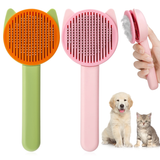 Multi Colour Brush M