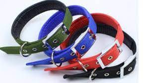 Multi Color Soft Collar With Buckle S