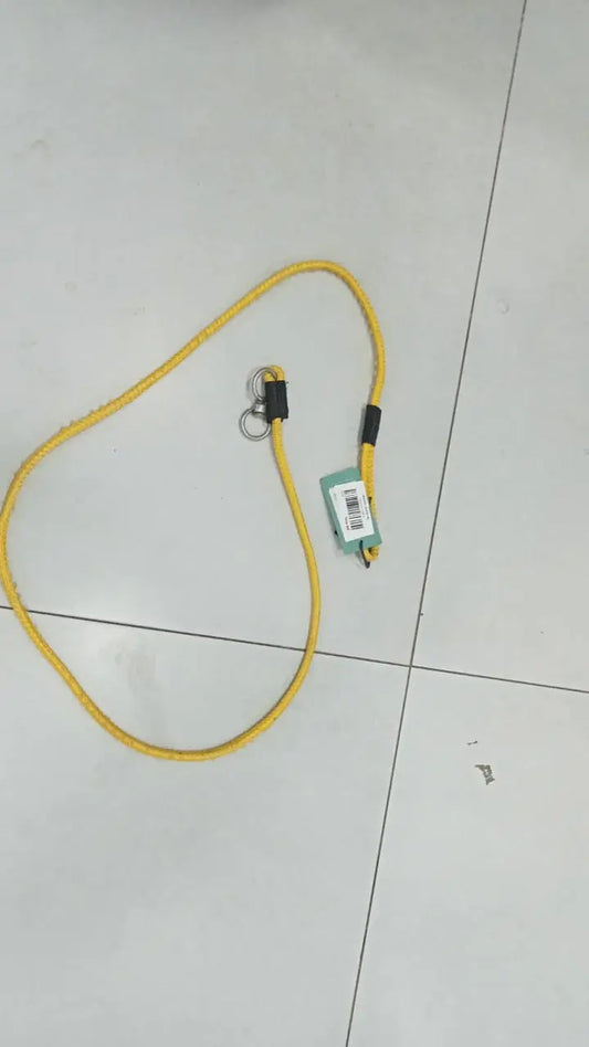 Yellow Nylon Leash S