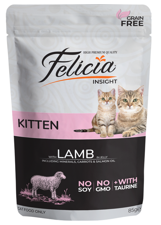 Felicia Kitten Lamb in Jelly