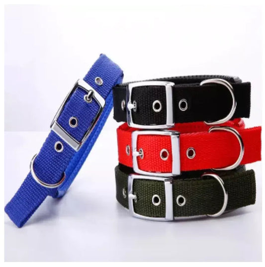 Soft Collar With Buckle S