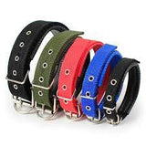 Puppy Collar