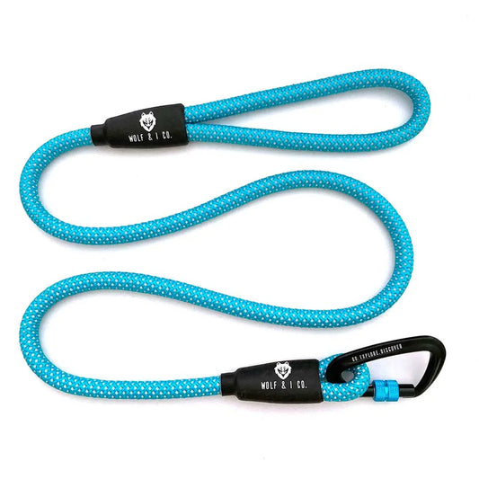 Dog Reflecting Leash