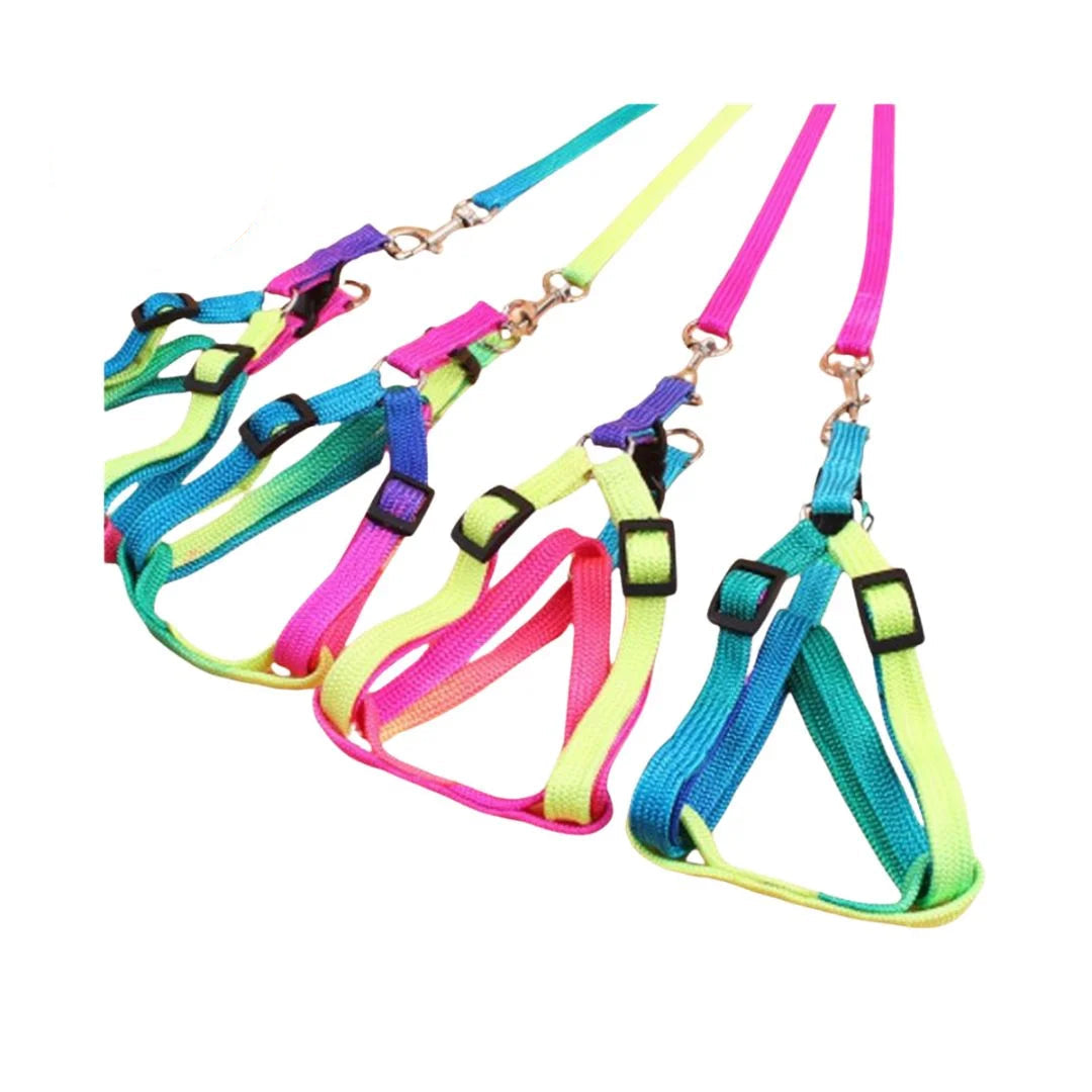 Multi Color Leash With Harness S