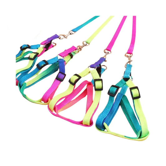 Multi Color Leash With Harness S