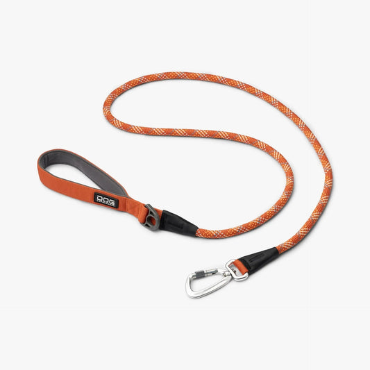 Color Full Dog Leash