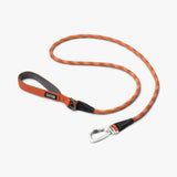 Color Full Dog Leash