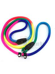 Colorfull Leash M