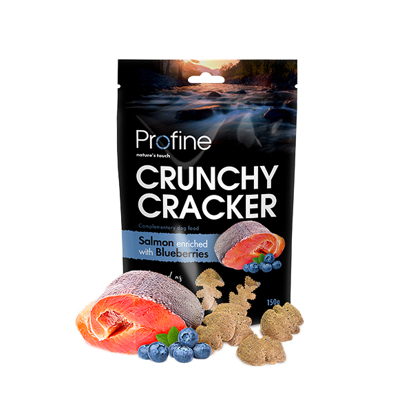 Profine Crunchy Cracker Salmon enriched with Blueberries