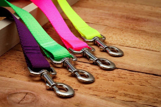 Colorfull High Duty Leash