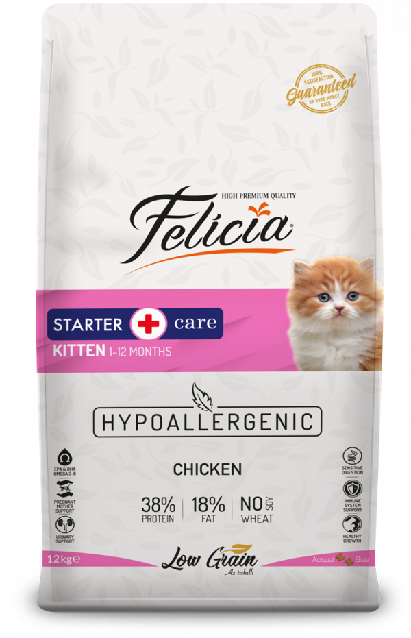 Felicia Starter Care Kitten Chicken