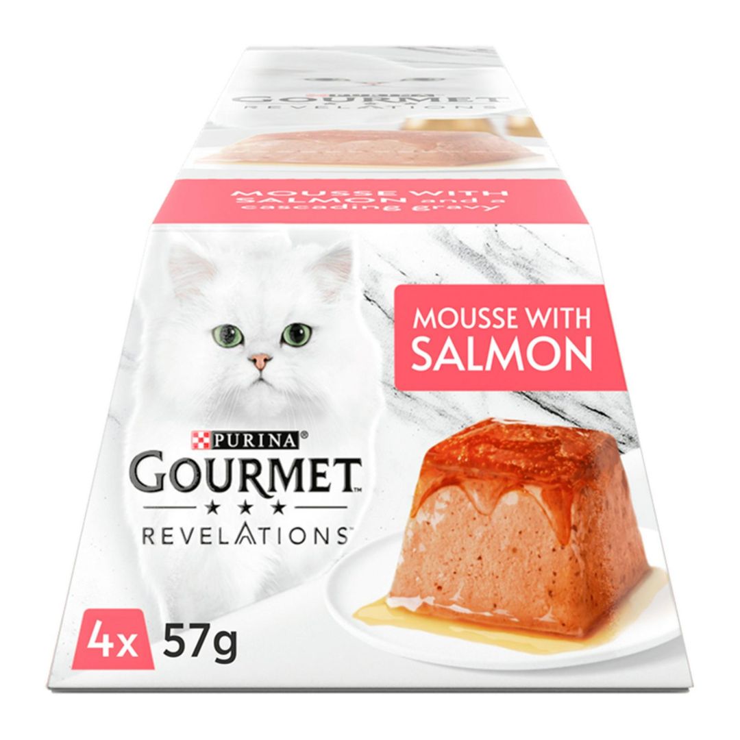 Gourmet Mousse With Salmon