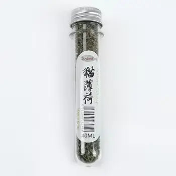 China Catnip