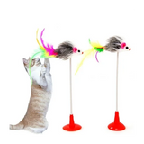 Cat Spring Toy Stuck