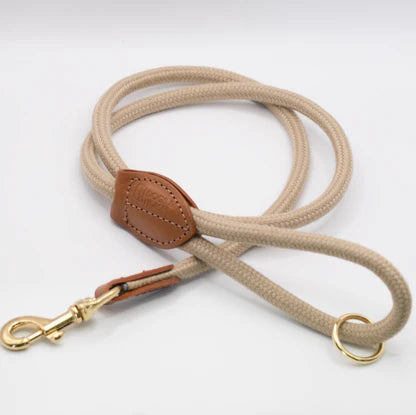 Golden Buckle Leash H S