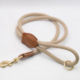 Golden Buckle Leash H S