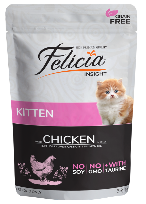 Felicia Kitten Chicken in Jelly