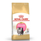 Royal Canin Persian Kitten