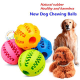 Dog Treat Ball Toy