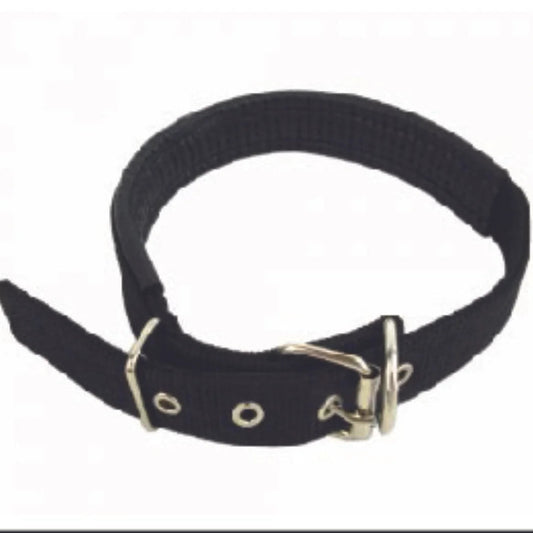 Nylon Collar S