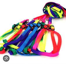 Colorfull Harness