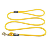 Yellow Nylon Leash