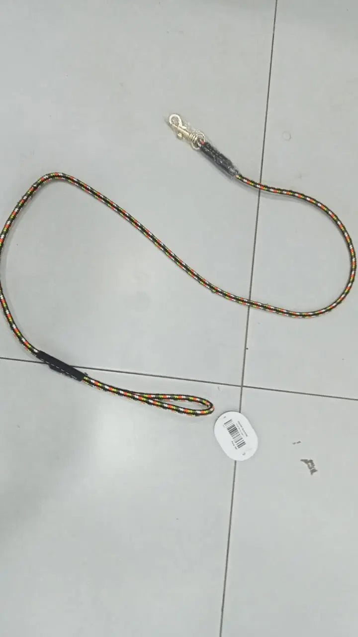 Golden Buckle Leash H S