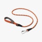 Color Full Dog Leash