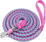 Blue and Pink Rope Leash