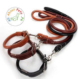 Collar & Leash