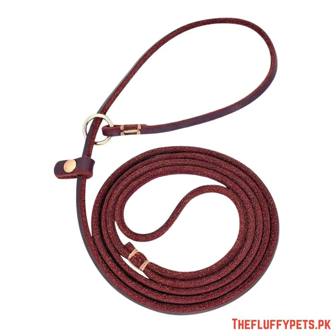 Leashes