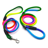 Multicolor Leash L